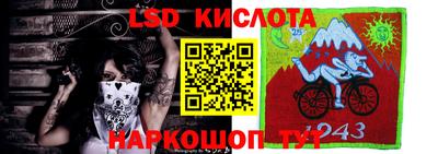 тгк Партизанск