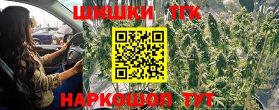 тгк Партизанск